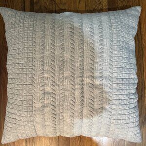 Crate & Barrell 26 x 26 sham x 2